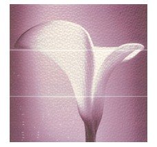 APE Luna DEC SET (3) ANGELS PURPURA декор3 Плитка настінна 204072