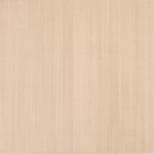 APE EXPERIENCE CAPUCCINO Плитка напольная 92456