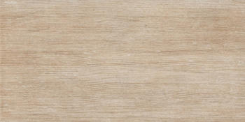 Zeus Ceramica Плитка Parquet ZNXPT3R BAMBOO