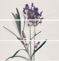 APE LIGNE DEC SET (3) LAVANDA декор3 Плитка настенная 189914