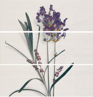 APE LIGNE DEC SET (3) LAVANDA декор3 Плитка настінна 189914