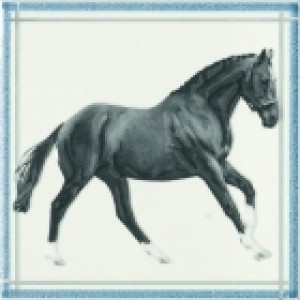 Ape Fayette DECOR BABIECA BLANCO декор плитка настенная 202655