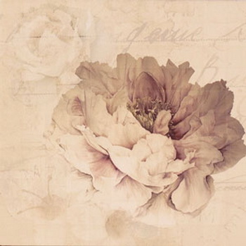 Ape Fayette DECOR CHARLIE II ARENA декор плитка настенная 202628