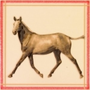 Ape Fayette DECOR BUCEFALO ARENA декор плитка настінна 202625