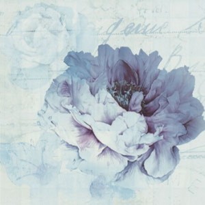 Ape Fayette DECOR CHARLIE II BLANCO декор плитка настінна 202660