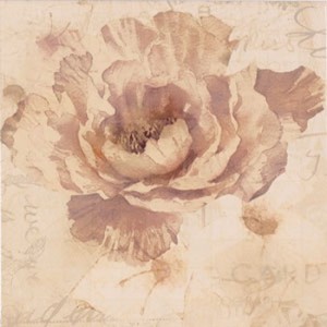 Ape Fayette DECOR CHARLIE III ARENA декор плитка настенная 202629