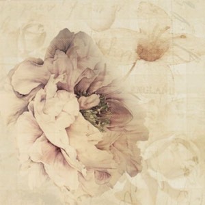 Ape Fayette DECOR CHARLIE I MARFIL декор плитка настінна 202637