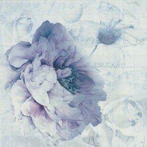 Ape Fayette DECOR CHARLIE I BLANCO декор плитка настенная 202657