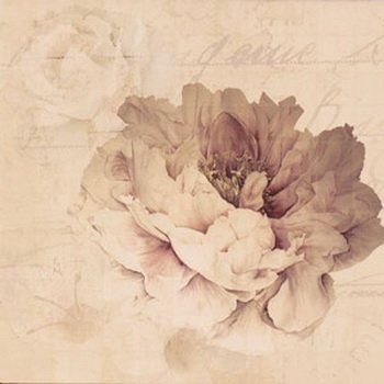 Ape Fayette DECOR CHARLIE II ARENA декор плитка настінна 202628