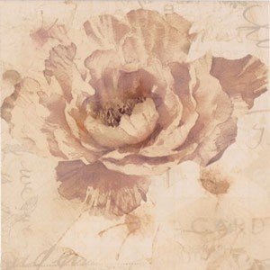 Ape Fayette DECOR CHARLIE III ARENA декор плитка настенная 202629