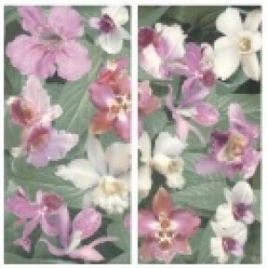 APE Romantica Декор2 DEC SET TANYA Плитка натенная 110629