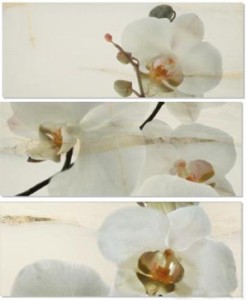APE DEC SET ORQUIDEA / ONICE декор3 Плитка настінна 163459