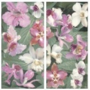 APE Romantica Декор2 DEC SET TANYA Плитка натенная 110629