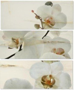 APE DEC SET ORQUIDEA/ONICE декор3 Плитка Настенная 163459