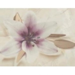 Azteca Onix DEC 2 OLIMPO R74 CHAMPAGNE декор2 плитка настенная 171023