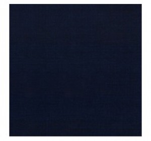 Aparici Плитка TAYLOR BLUE GRES (491x491) 200590