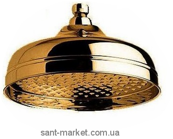 Лейка для верхнего душа с тропическим душем Bugnatese бронза RICBR19416