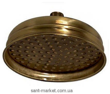 Лейка для верхнего душа с тропическим душем Bugnatese бронза BR5700