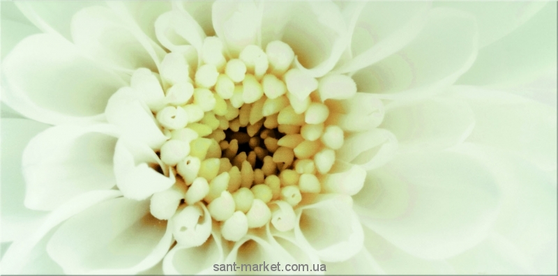 Opoczno Плитка настенная DIAGO INSERTO FLOWER B 29 7X60