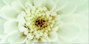 Opoczno Плитка настінна DIAGO INSERTO FLOWER B 29 7X60