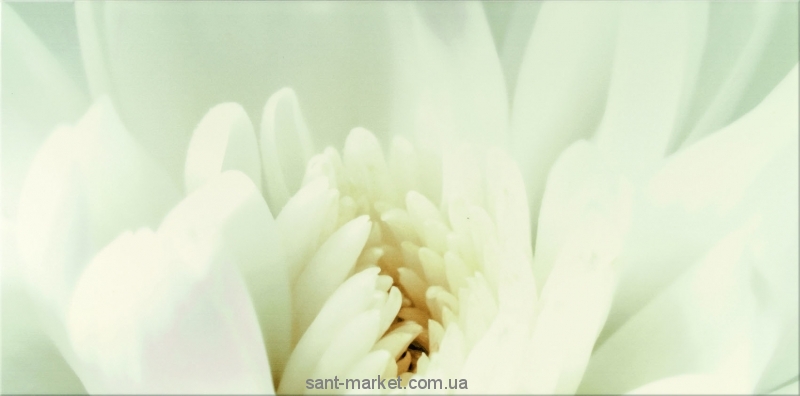 Opoczno Плитка настінна DIAGO INSERTO FLOWER C 29 7X60