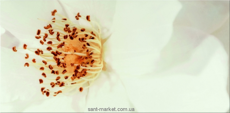 Opoczno Плитка настенная DIAGO INSERTO FLOWER A 29 7X60