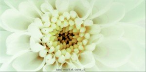 Opoczno Плитка настенная DIAGO INSERTO FLOWER B 29 7X60