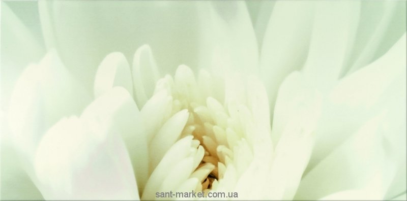 Opoczno Плитка настенная DIAGO INSERTO FLOWER C 29 7X60