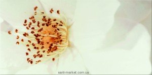 Opoczno Плитка настенная DIAGO INSERTO FLOWER A 29 7X60