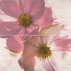 Opoczno Stone Rose Декорація настінна Stone rose inserto flower A 29 7X60