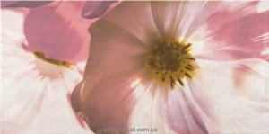 Opoczno Stone Rose Декорация настенная Stone rose inserto flower B 29 7X60