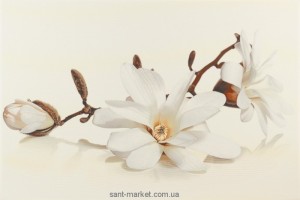 Opoczno Flora декор магнолія 30x45