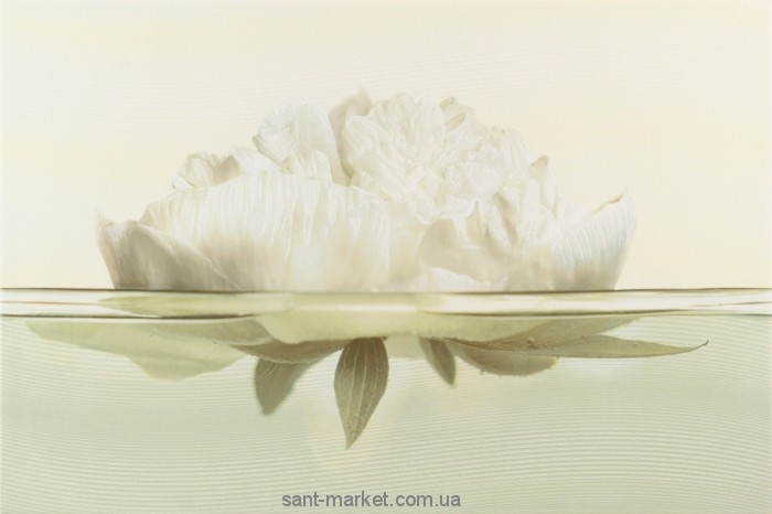 Opoczno Flora декор пивония 30x45