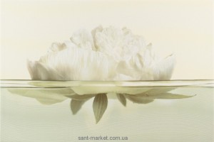 Opoczno Flora декор півонія 30x45