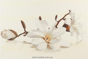 Opoczno Flora декор магнолия 30x45