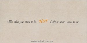 Opoczno CITY CALL NOT декор 29 7X59 8