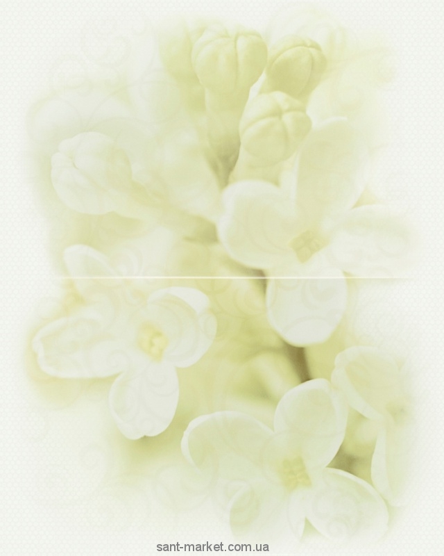 Cersanit Декор Andrea флауер 50х40