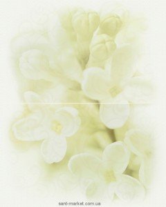 Cersanit Декор Andrea Флауер 50х40