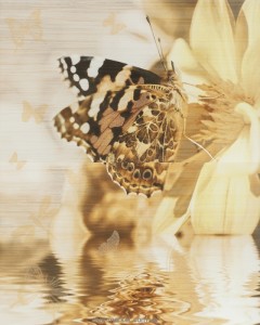 Cersanit Miranda Декор Miranda батерфляй 50х40