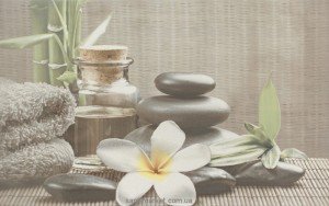 Cersanit Olivia Декор Olivia SPA 1 серый 25х40