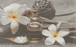 Cersanit Olivia Декор Olivia SPA 2 серый 25х40