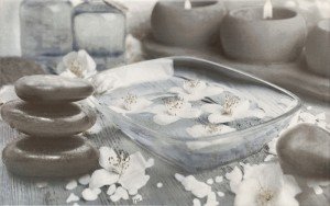 Cersanit Olivia Декор Olivia SPA 2 синий 25х40