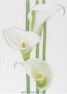 Cersanit Rona Декор Rona 25х35