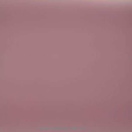 Плитка для підлоги Porcelanite DOS 2210 Lila 422 41x41