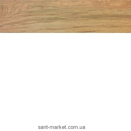 Плитка керамогранит для пола Atlas Concorde Etic AJ8D Rovere 22.5х90