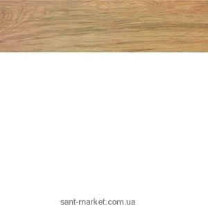 Плитка керамогранит для пола Atlas Concorde Etic AJ8D Rovere 22.5х90