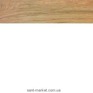 Плитка керамогранит для пола Atlas Concorde Etic AJ8D Rovere 22.5х90