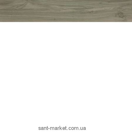 Плитка керамогранит для підлоги Atlas Concorde Etic ADU3 Rovere Grigio Rt 25x150