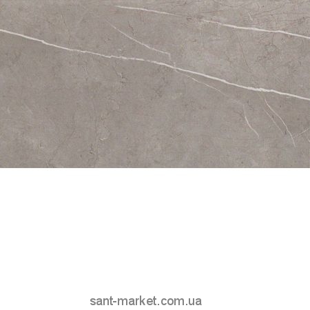 Плитка настінна Atlas Concorde Marvel 9P5M Silver Dream 30.5х56