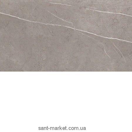 Плитка настенная Atlas Concorde Marvel 9P5M Silver Dream 30.5х56